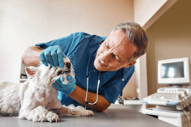 Best Weekend Emergency Dentist in Jesup, GA